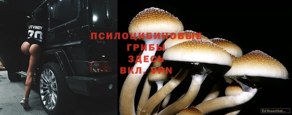 мяу мяу кристалл Армянск