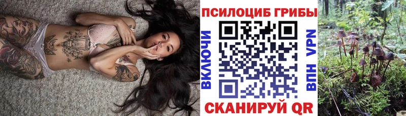 Галлюциногенные грибы прущие грибы  купить   мега ссылка  Окуловка 
